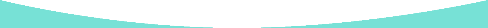  section divider
